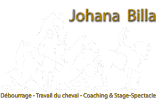 Johana Billa - Arts Equestres